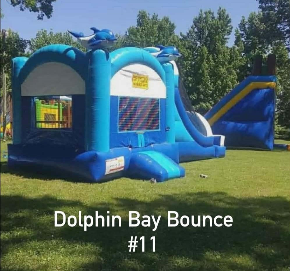 Dolphin Bay Bounce #11 — Wet/Dry Combo Inflatable