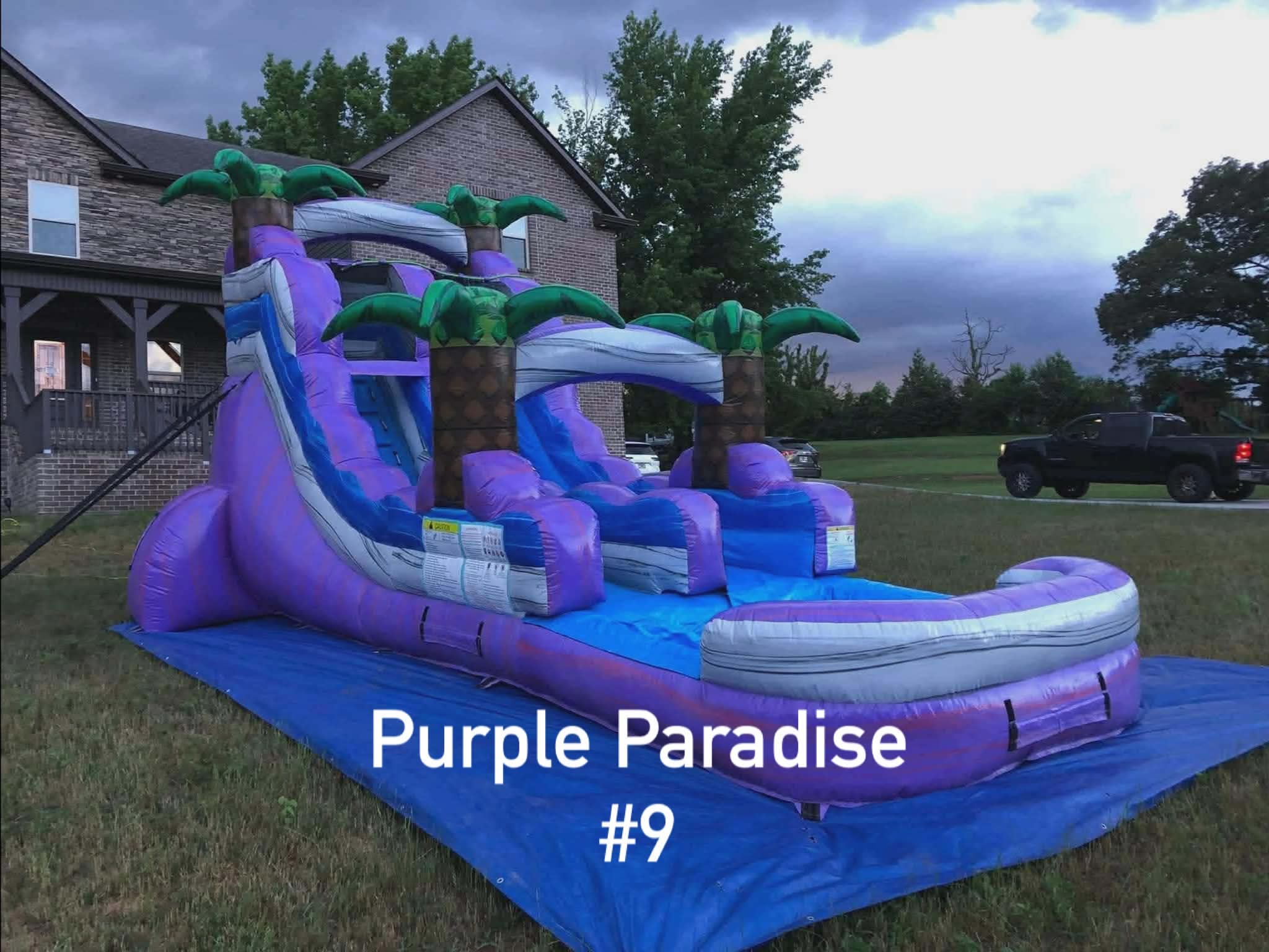 Purple Paradise #9 — Wet Water Slide